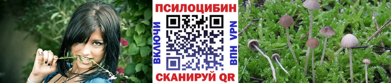 Купить  Копейск  Галлюциногенные грибы MAGIC MUSHROOMS 